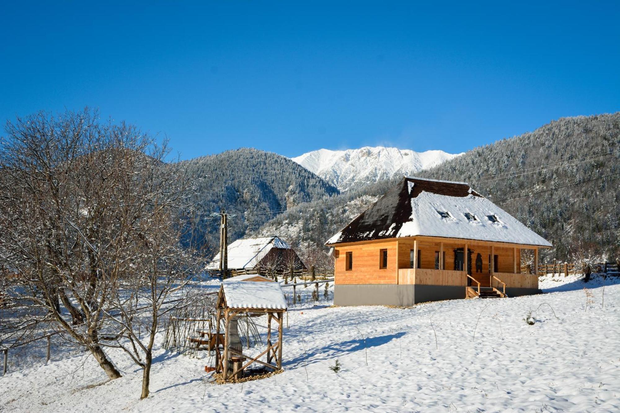 Casa Wezly Villa Măgura Eksteriør bilde